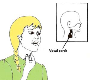 vocal_cords_location